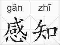 感知的拼音