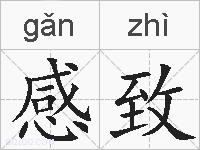感致的拼音
