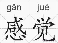 感觉的拼音