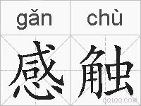 感触的拼音