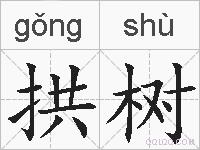 拱树的拼音