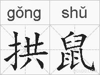 拱鼠的拼音