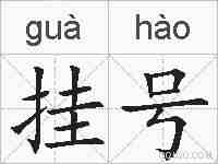 挂号的拼音