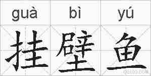 挂壁鱼的拼音