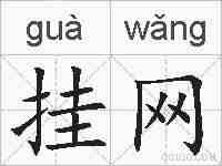 挂网的拼音