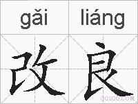 改良的拼音