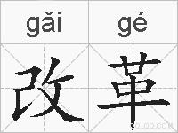 改革的拼音