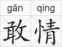 敢情的拼音