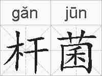 杆菌的拼音