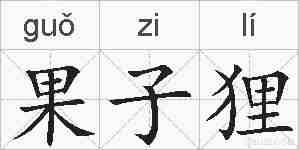 果子狸的拼音