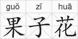 果子花的拼音