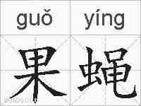 果蝇的拼音