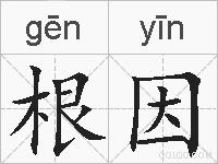 根因的拼音