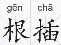 根插的拼音
