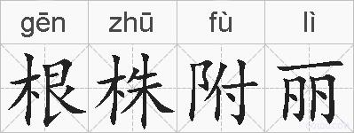 根株附丽的拼音