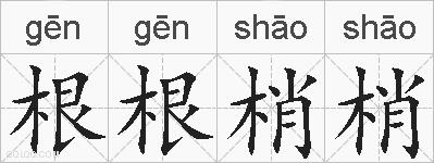 根根梢梢的拼音