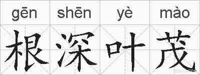 根深叶茂的拼音
