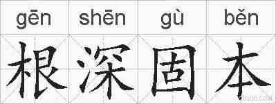 根深固本的拼音