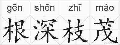 根深枝茂的拼音