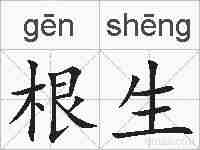 根生的拼音