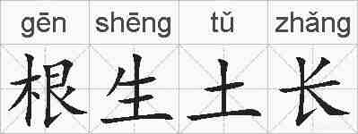 根生土长的拼音