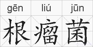 根瘤菌的拼音