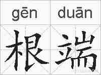 根端的拼音