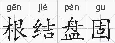 根结盘固的拼音