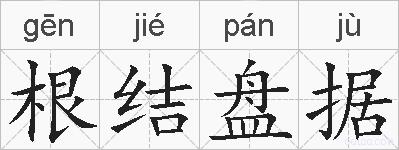 根结盘据的拼音