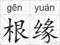 根缘的拼音