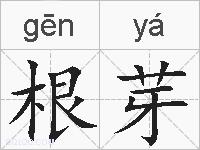 根芽的拼音