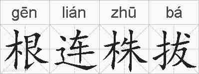 根连株拔的拼音