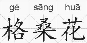 格桑花的拼音