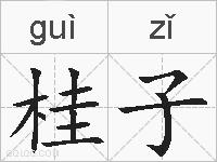 桂子的拼音