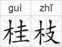 桂枝的拼音