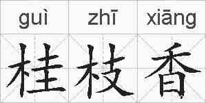 桂枝香的拼音