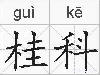 桂科的拼音
