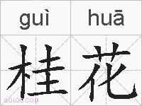 桂花的拼音