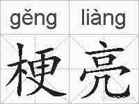 梗亮的拼音