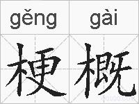 梗概的拼音