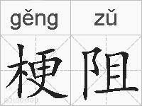 梗阻的拼音