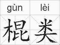 棍类的拼音