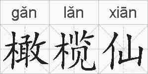 橄榄仙的拼音