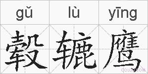 毂辘鹰的拼音