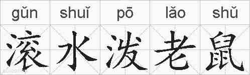 滚水泼老鼠的拼音