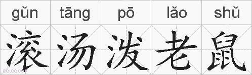 滚汤泼老鼠的拼音