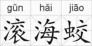 滚海蛟的拼音