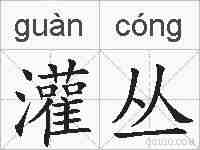 灌丛的拼音