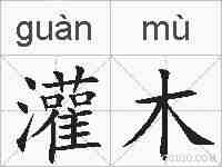 灌木的拼音