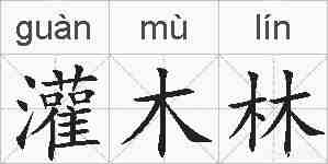 灌木林的拼音